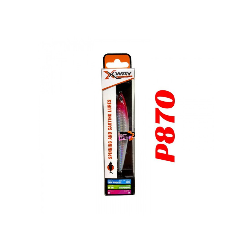 P CI SLOW RISI 95SS-8 P870