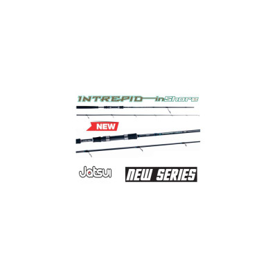 CAÑA JATSUI INTREPID INSHORE 9' 60-100GR
