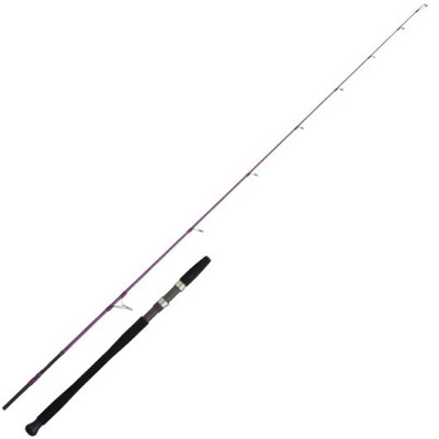 CAÑA EXPLORER PURPLE INSHORE UL JIGGING