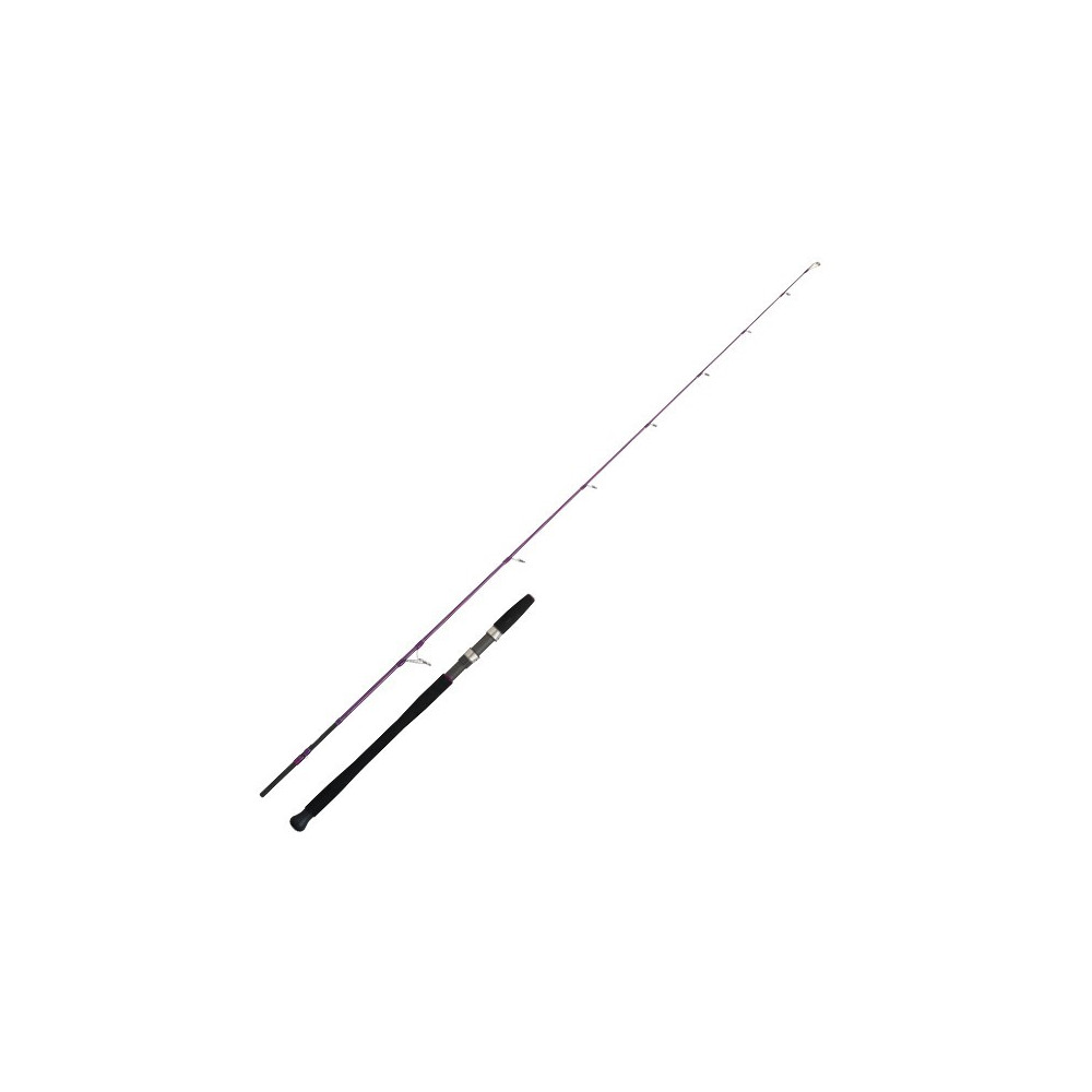 CAÑA EXPLORER PURPLE INSHORE UL JIGGING