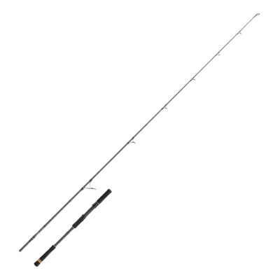 CAÑA RAYFORCE BOAT CASTING 7-30G
