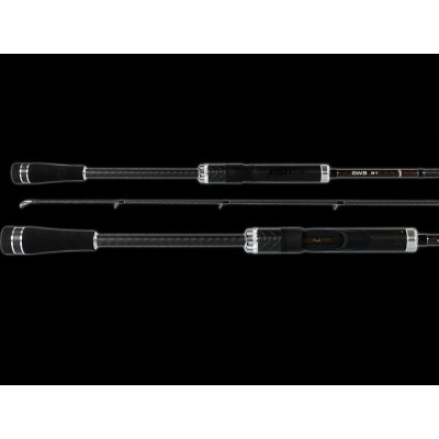 CAÑA FISHUS SW5 2 43M 7-24GR
